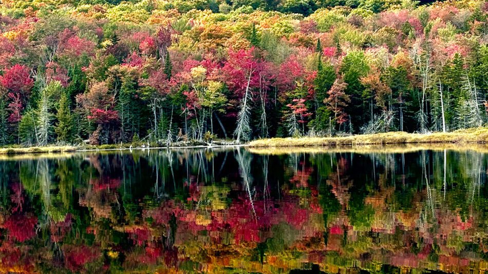 fall foliage color reflected in a lake