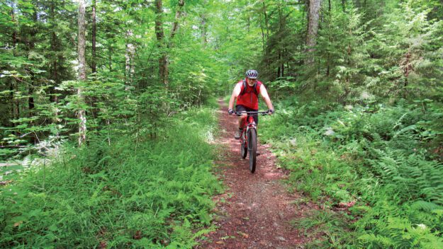 moose river plains bike ride