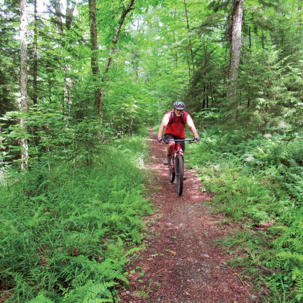 moose river plains bike ride