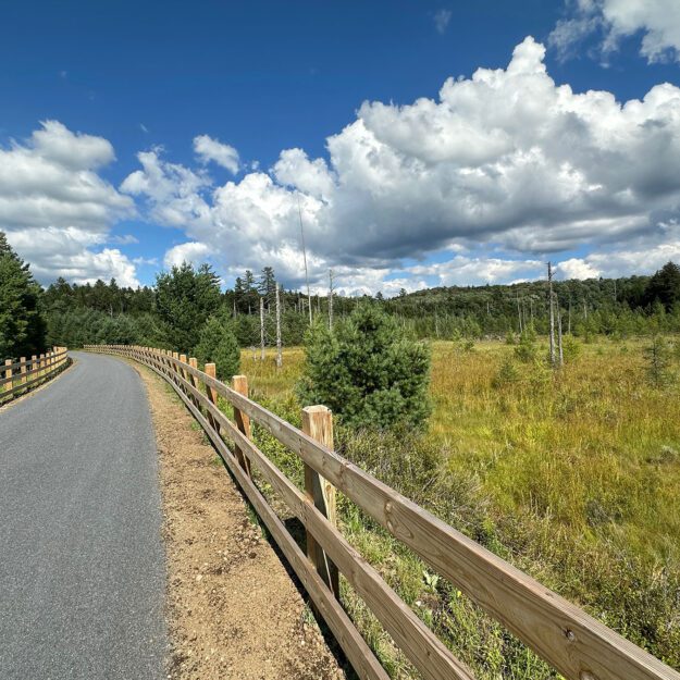 Phase 2 of the Adirondack Rail Trail passes a number of wetlands en route to Floodwood Road.