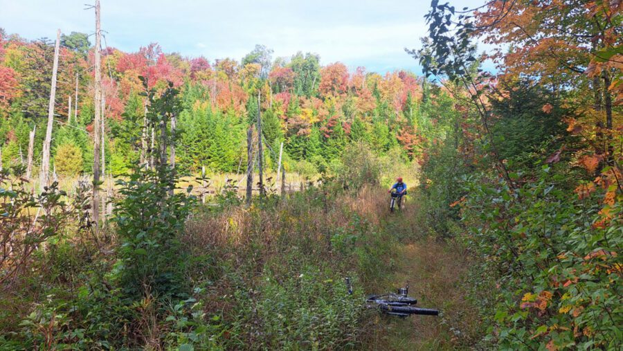 man with bike in fall woodland