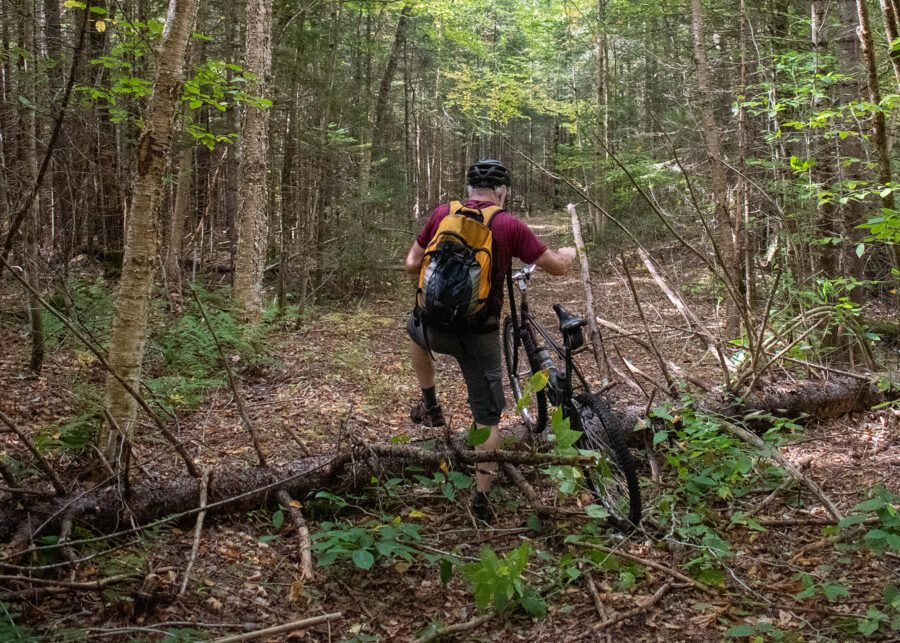 Man with bike navigates a log across a trail