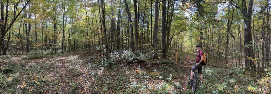 Panoramic photo of a woods trail with a man on a bike