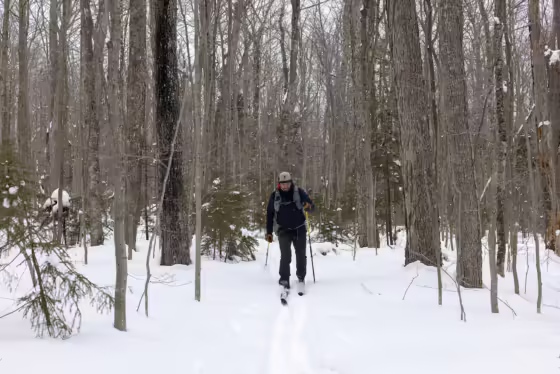 Jackrabbit Trail rerouted near Lake Placid