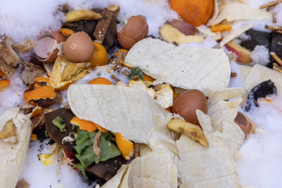 a pile of food scraps for composting