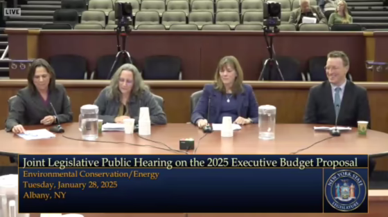 Adirondack groups testify at the state Legislature's environmental conservation budget hearing