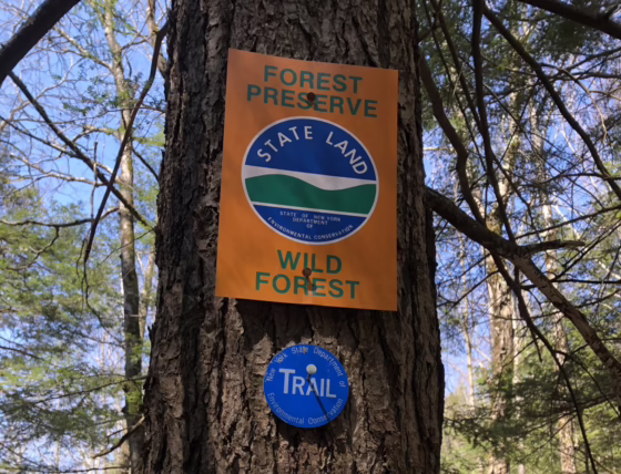 Inspector General: DEC forester stole state trail signs