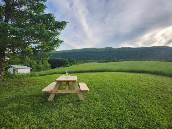 Wine bottle and glasses on the picnic table and Helderberg Escarpment in the side-yard. of the tasting room. Photo courtesy of Meadowdale Winery.