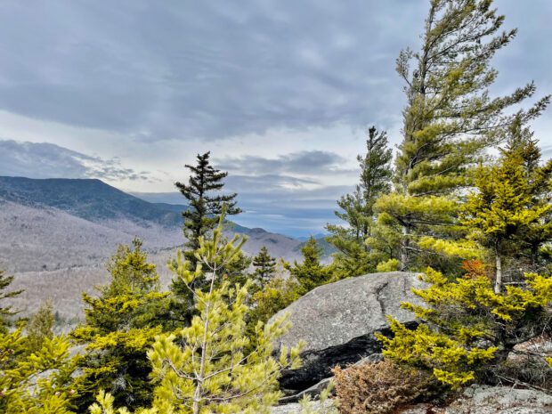 View of Hoffman Mountain from the summit of Jones Hill. Photo by Tim Rowland