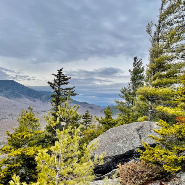 View of Hoffman Mountain from the summit of Jones Hill. Photo by Tim Rowland