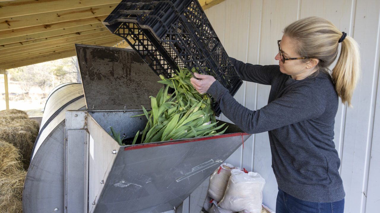 woman dumping vegetation into composter