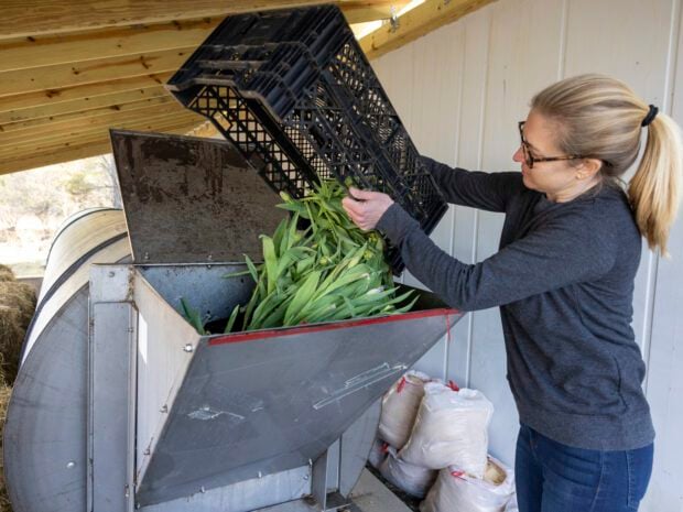 woman dumping vegetation into composter