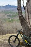 bike leaning against a tree with mountains in the background