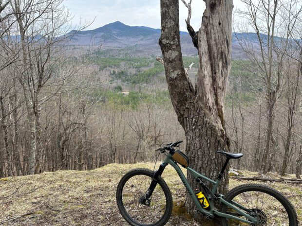 bike leaning against a tree with mountains in the background