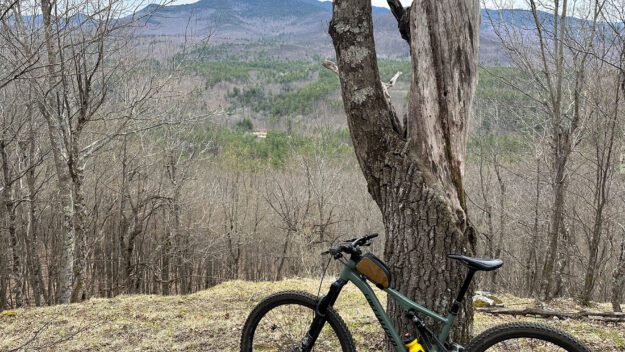 bike leaning against a tree with mountains in the background