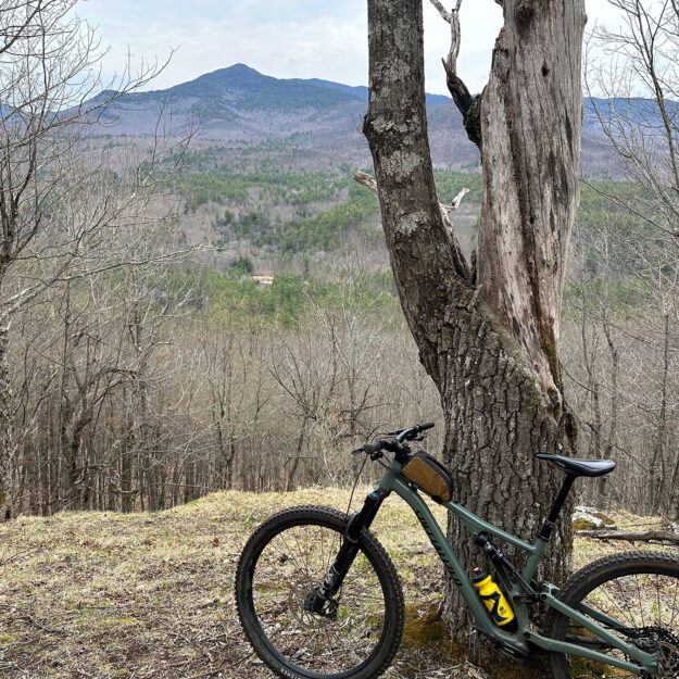 bike leaning against a tree with mountains in the background