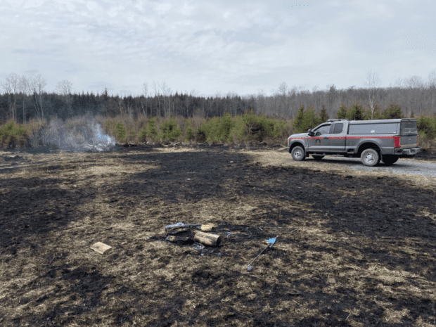 aftermath of wildfire