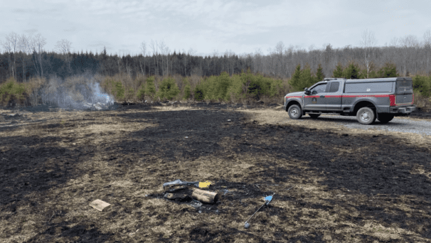 aftermath of wildfire