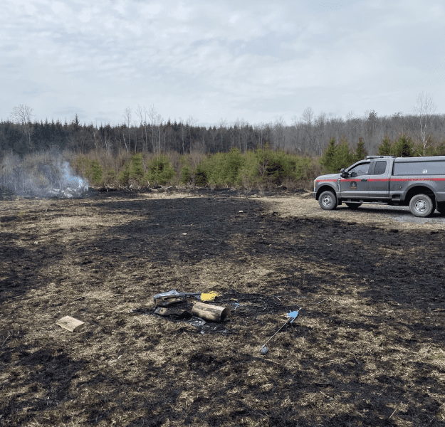 aftermath of wildfire