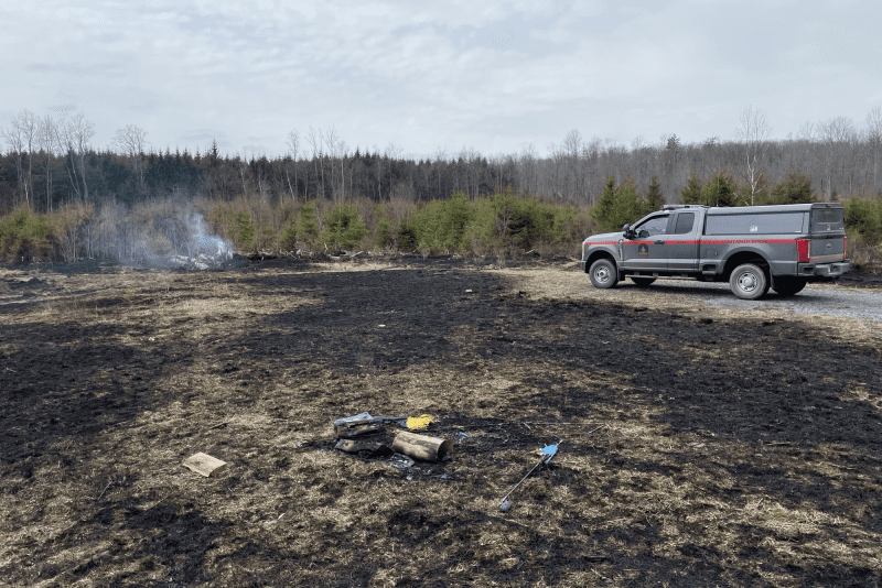 aftermath of wildfire