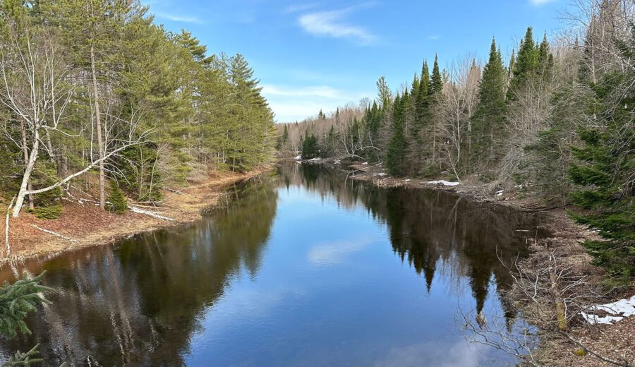 North Branch of Saranac