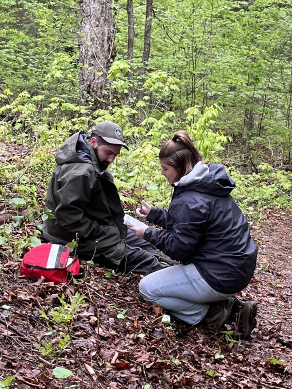 assistant forest ranger training