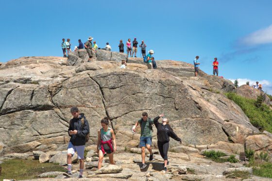 Who will lead trips for Adirondack Mountain Club?
