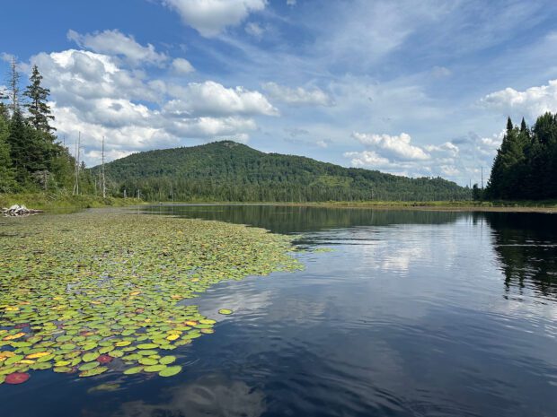 Catamount Mountain in the background dominates the view from Fishhole Pond in the foreground