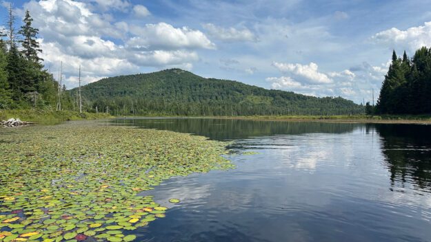 Catamount Mountain in the background dominates the view from Fishhole Pond in the foreground