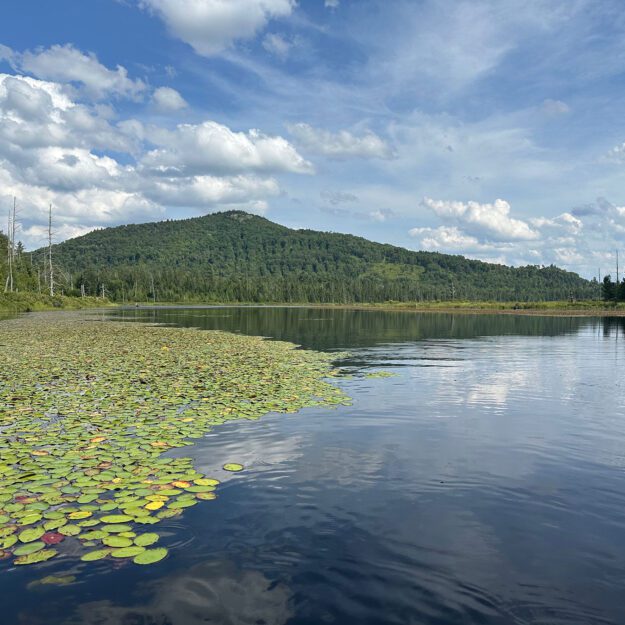 Catamount Mountain in the background dominates the view from Fishhole Pond in the foreground