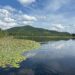 Catamount Mountain in the background dominates the view from Fishhole Pond in the foreground