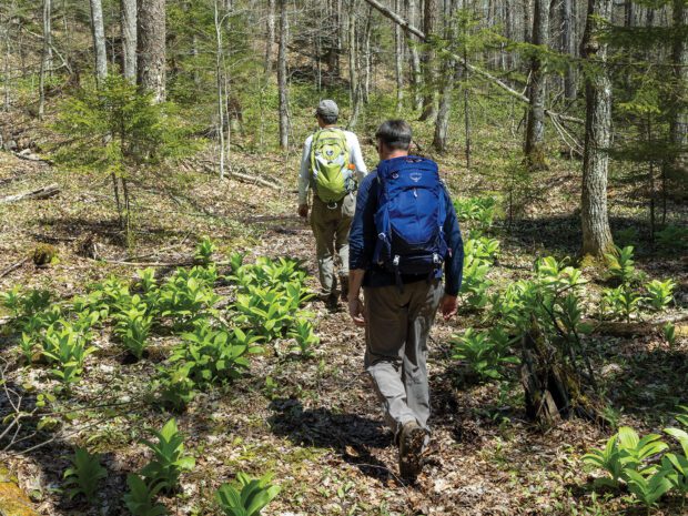 Two hikers on a trail