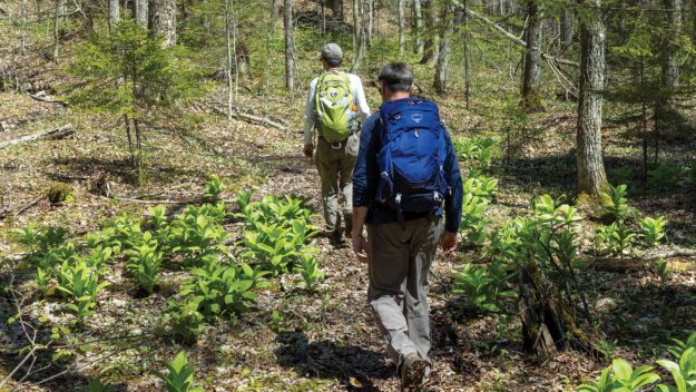 Two hikers on a trail