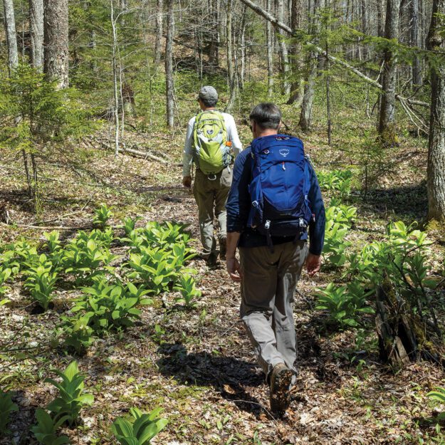 Two hikers on a trail
