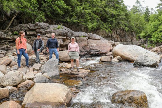 Adirondack Hamlets to Huts acquires first property in Wells, plans lodge for outdoor enthusiasts