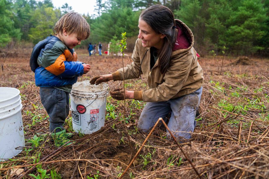 little boy and his mom planting a tree