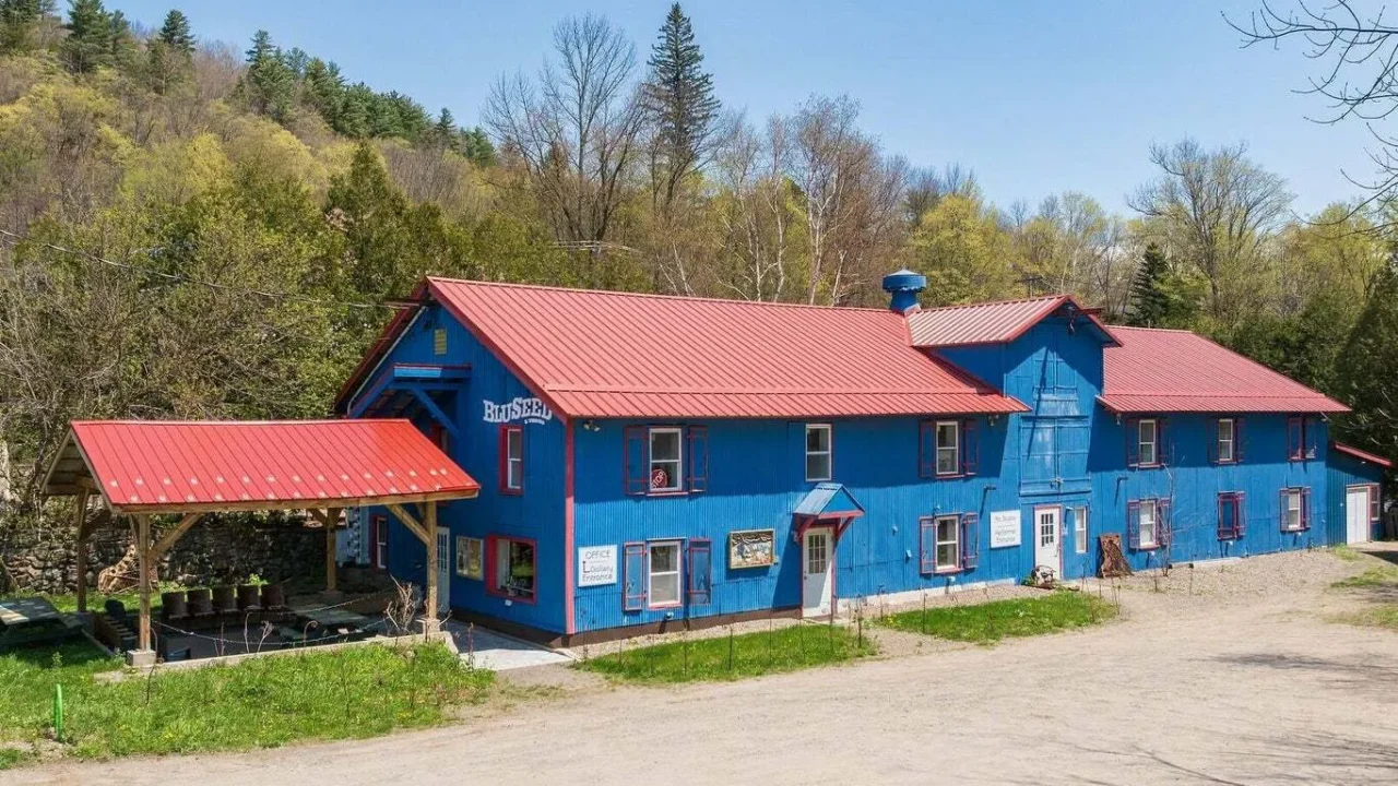 bluseed exterior