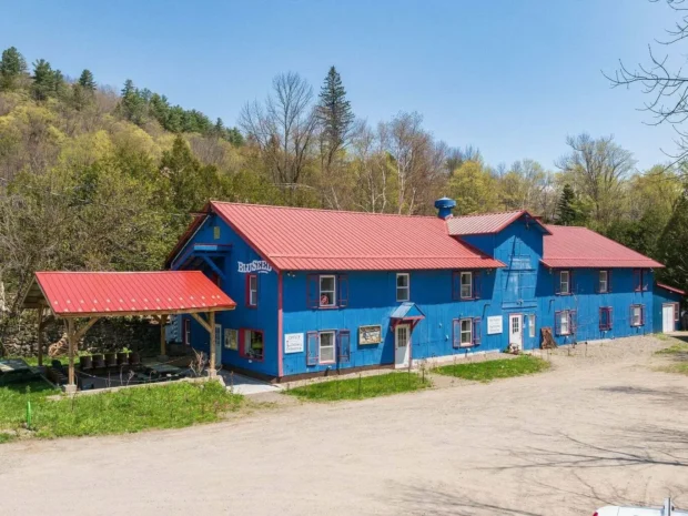 bluseed exterior