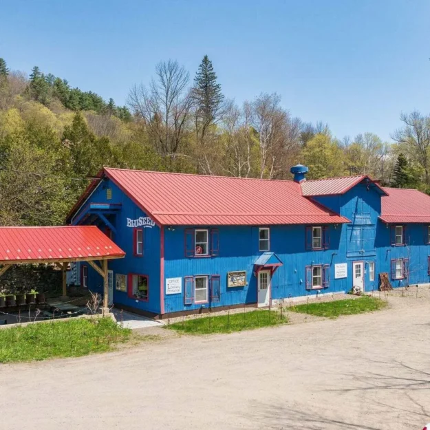 bluseed exterior