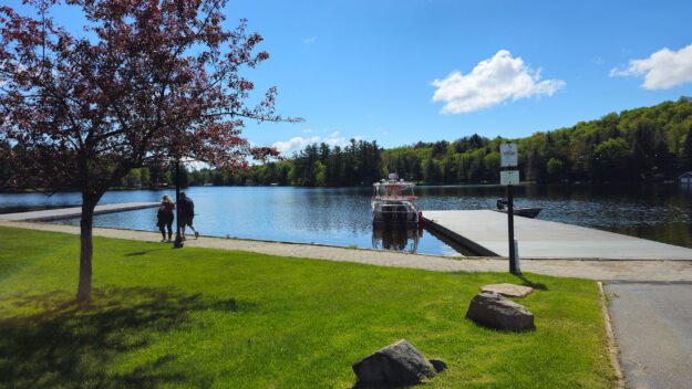 sunny day with green grass at old forge pond's public boat launch