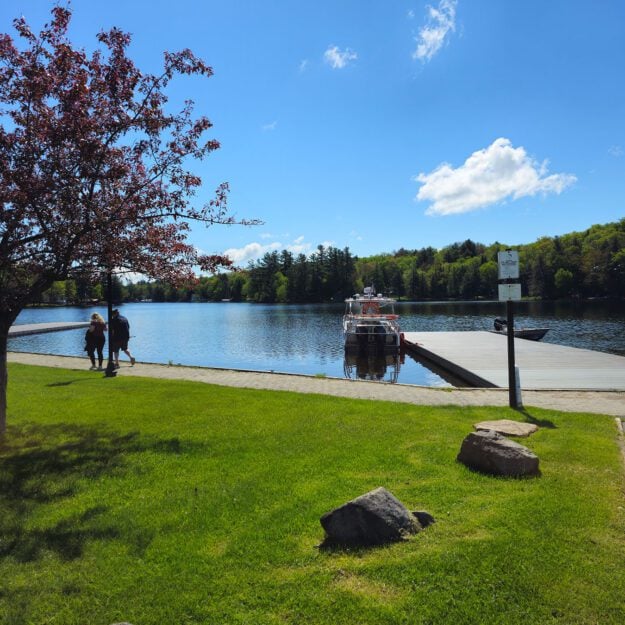 sunny day with green grass at old forge pond's public boat launch