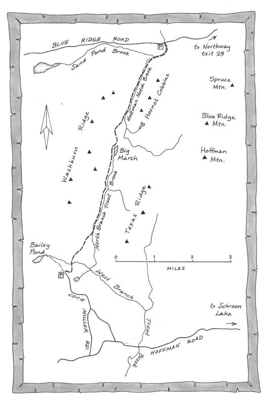 Illustrated map