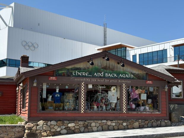 street view of a log cabin building in lake placid