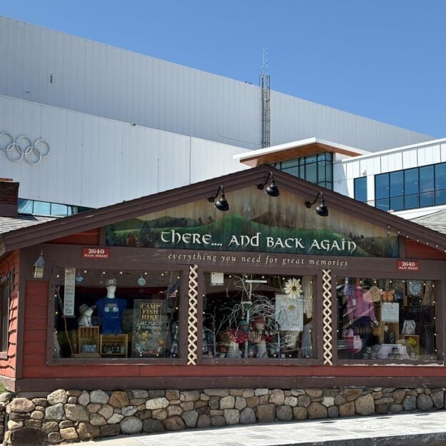 street view of a log cabin building in lake placid
