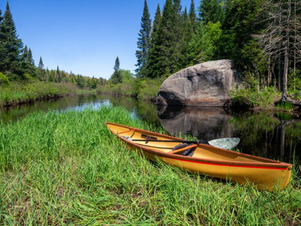 canoe on a grassy riverbank