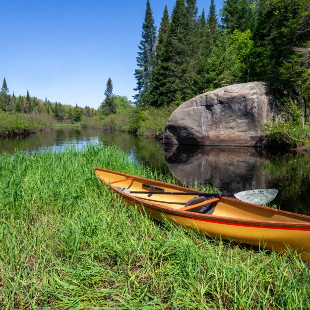 canoe on a grassy riverbank