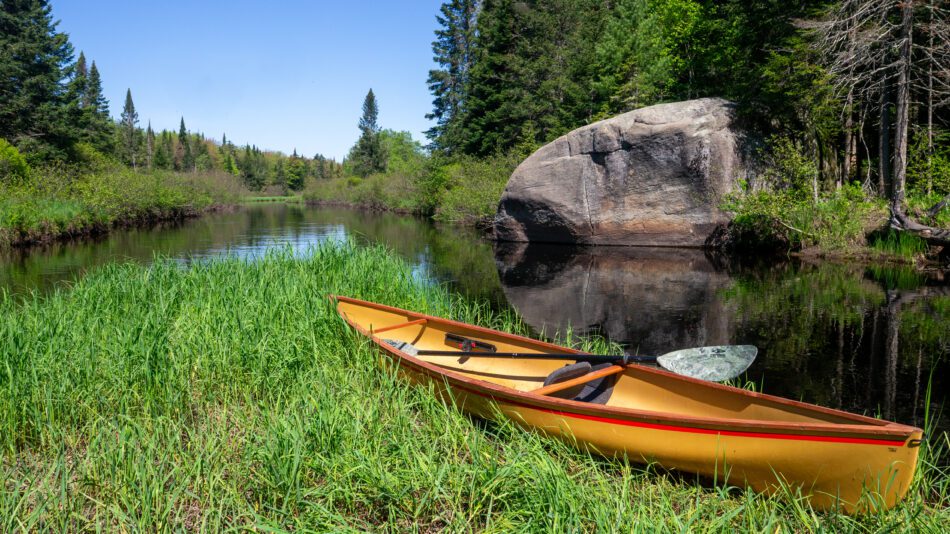 canoe on a grassy riverbank