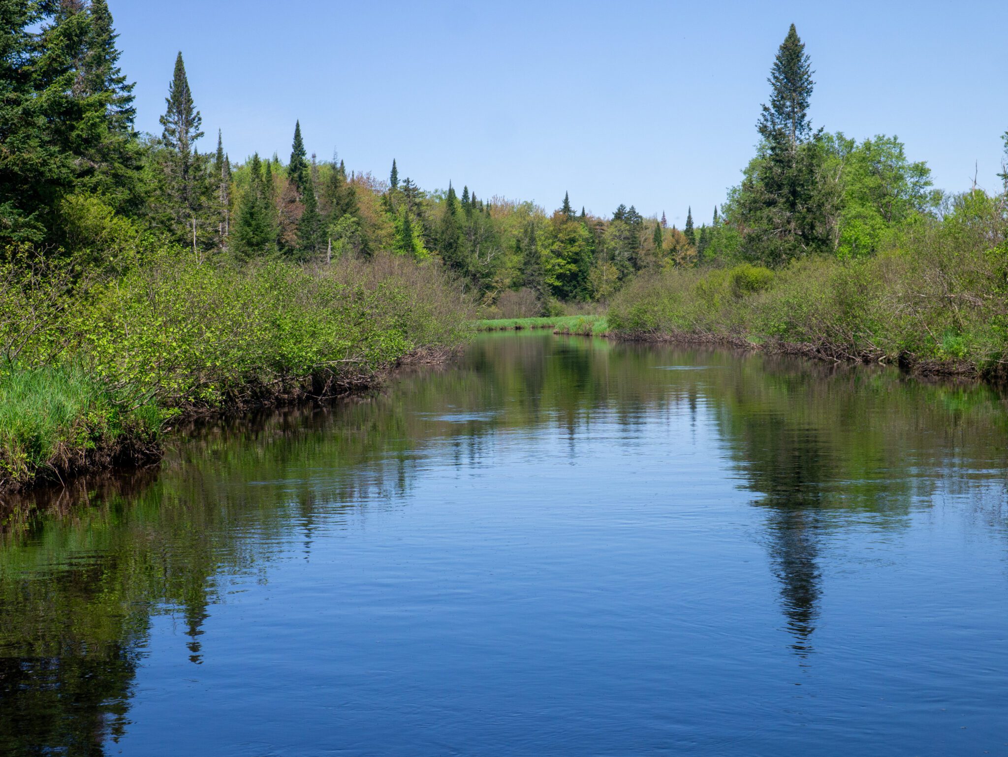 A 10-mile stretch of the East Branch of the St. Regis River makes a fine spring paddle. 