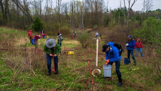 Volunteers planting trees along Beaver Brook which feeds the Boquet River, on Ananta Farm in Westport.