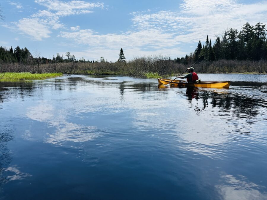 man in a canoe on the st. regis river